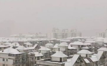 下雪啦的教案通用7篇