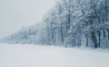 《下雪了》教案7篇