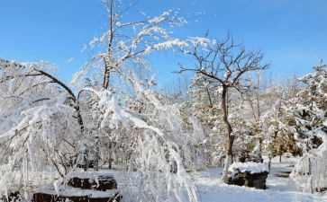 《下雪了》教案模板5篇