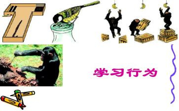 规范行为心得体会5篇