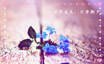 心灵的春天作文7篇