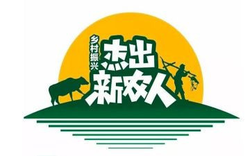新农村工作总结8篇