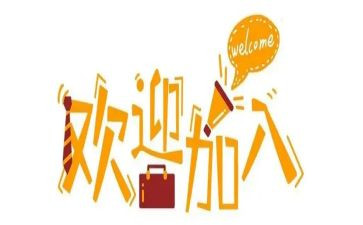 入职新人年终总结7篇