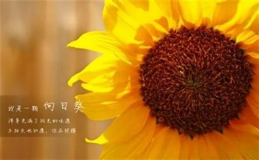 接新一年级工作计划8篇