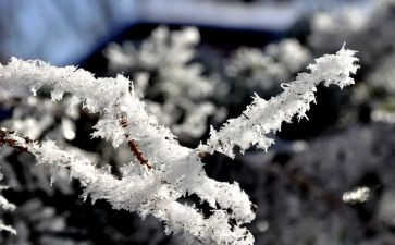 除雪实践心得体会6篇