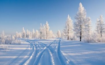 绘画雪房子教案6篇