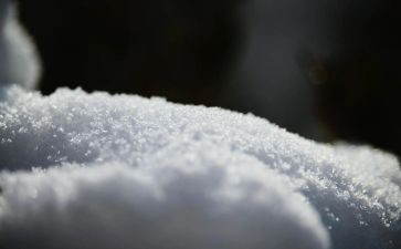 雪初中作文800字优质8篇