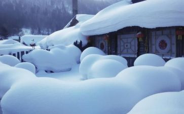 中学生除雪心得体会8篇