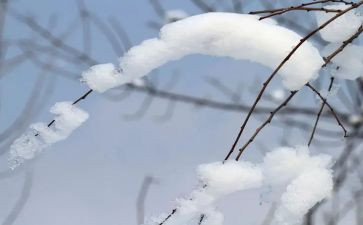 关于小雪节气的演讲稿7篇