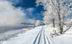 除雪实践心得体会优质6篇