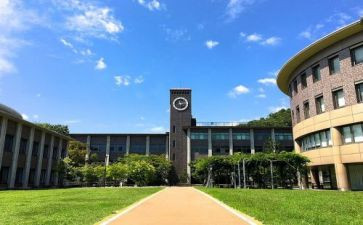 大学部门的工作总结参考7篇