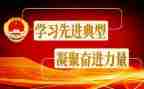 学典型做先进心得体会6篇