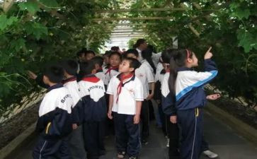 校外实践学上活动总结7篇