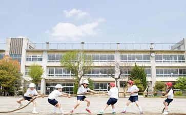 学生实习工作总结报告8篇