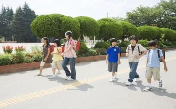 大学生军训总结500字8篇