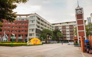 学校副校长个人述职报告7篇