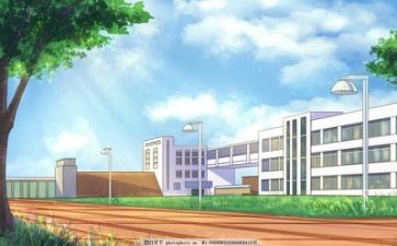 学校个人财务工作总结8篇
