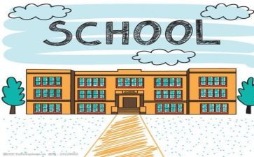 学校个人财务工作总结模板6篇
