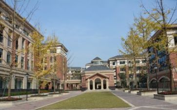 2024年中心学校校长述职报告8篇
