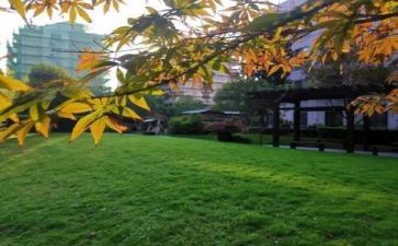 学校的工作总结优质5篇