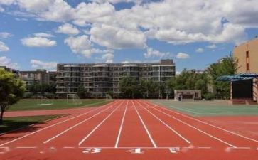 学校年终工作总结优质5篇