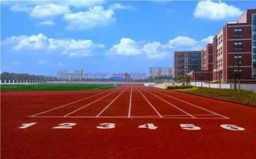 学校述职报告总结6篇