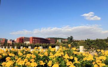 学校安全办工作计划优秀5篇