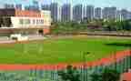 在学校学习工作总结8篇