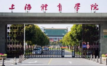大学院级工作总结7篇
