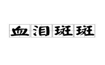 血与泪的教训心得体会6篇