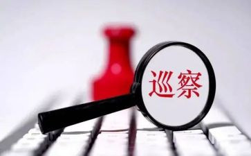 巡察个人述职述廉报告7篇