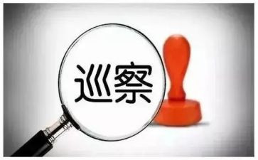 巡察组长巡察工作总结5篇