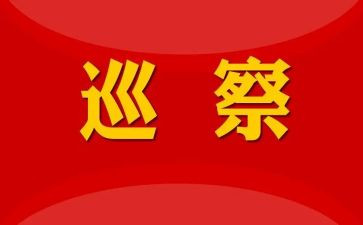 镇巡察工作总结7篇