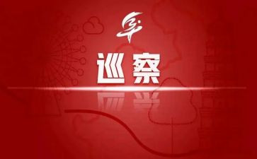 巡察述职述廉报告5篇