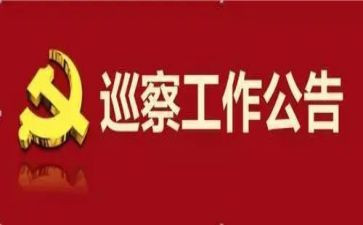 县巡察工作总结6篇