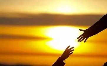 寻找孝心最美少年2024观后感7篇