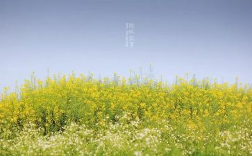 2024年叙事作文最新8篇