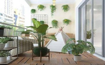2024春晚小品《阳台》观后感8篇