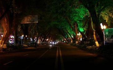 美丽的夜景作文7篇
