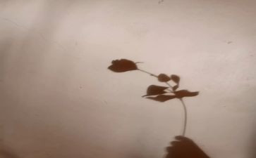 画影子幼儿小班教案5篇