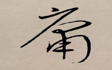 庸的心得体会优质7篇