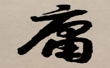 庸的心得体会8篇