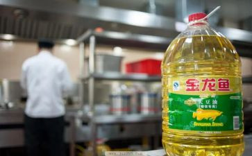 油和水科学活动教案推荐5篇