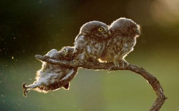 有趣的数学教案6篇