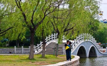 庆元旦游园活动总结8篇