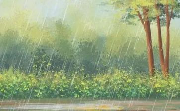 关于雨的演讲稿600字优质6篇