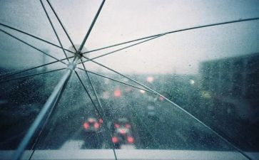 余秋雨文化苦旅读后感8篇