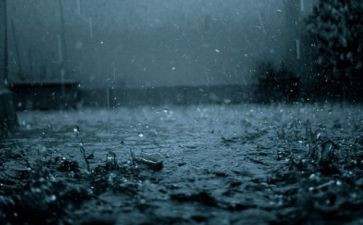 七色雨教案优质7篇
