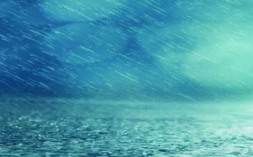 关于雨的演讲稿600字精选5篇