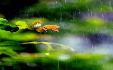 观看雨课堂的心得体会最新8篇